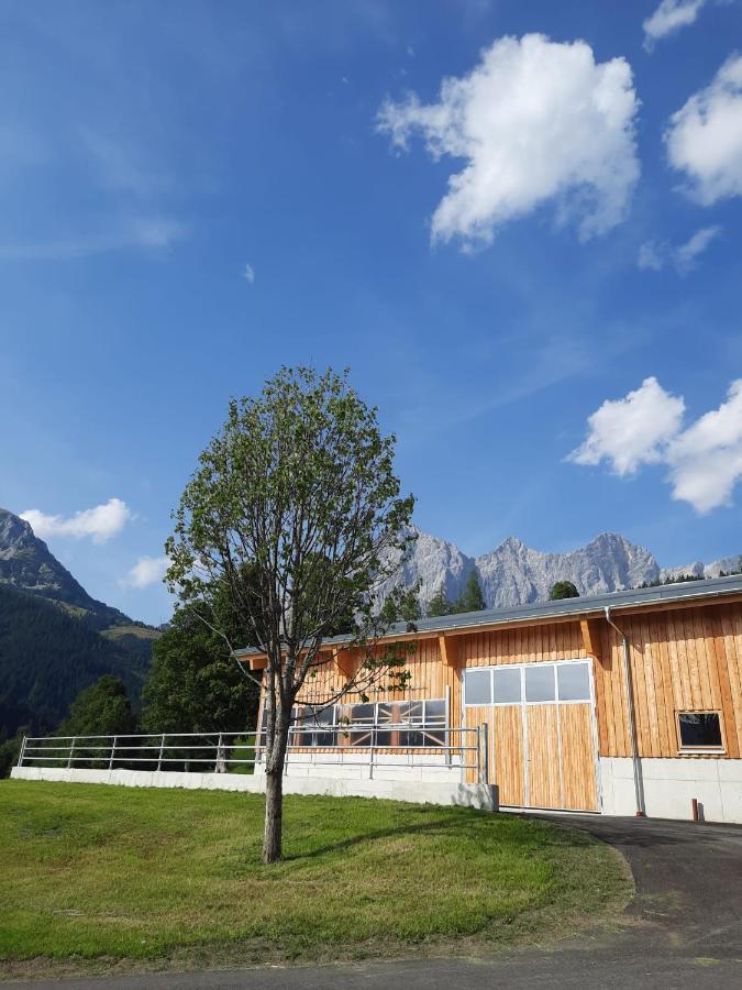Appartement Muehlebnerhof Ramsau am Dachstein Eksteriør billede