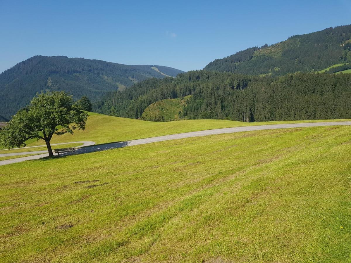 Appartement Muehlebnerhof Ramsau am Dachstein Eksteriør billede
