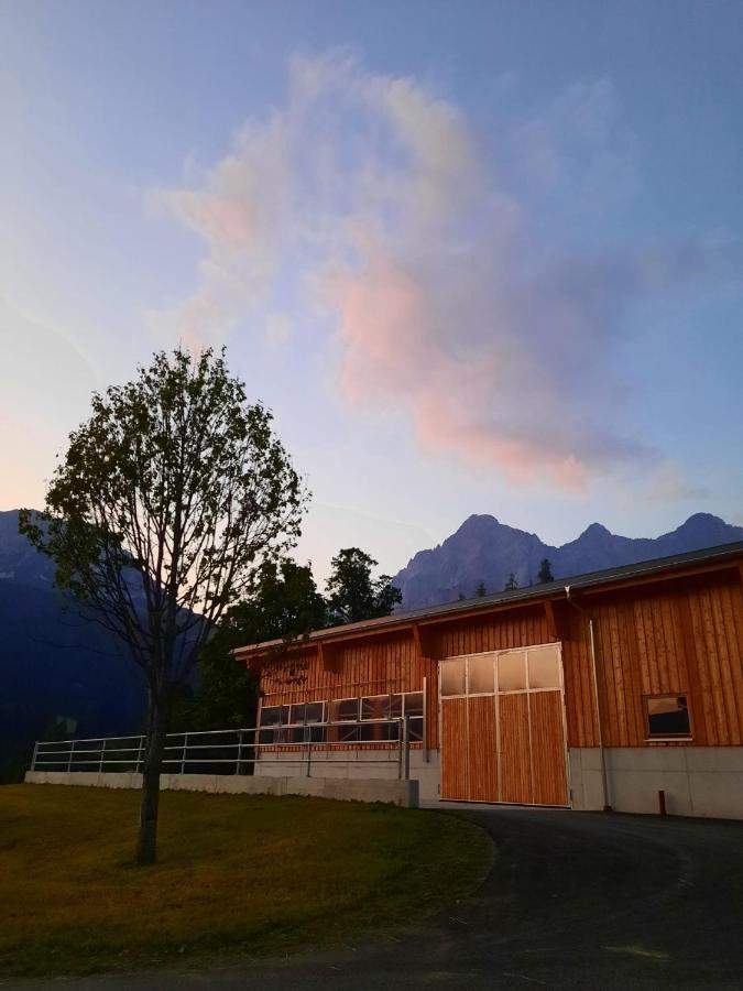 Appartement Muehlebnerhof Ramsau am Dachstein Eksteriør billede