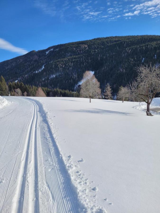 Appartement Muehlebnerhof Ramsau am Dachstein Eksteriør billede