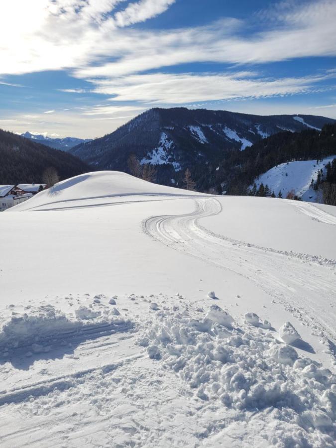 Appartement Muehlebnerhof Ramsau am Dachstein Eksteriør billede
